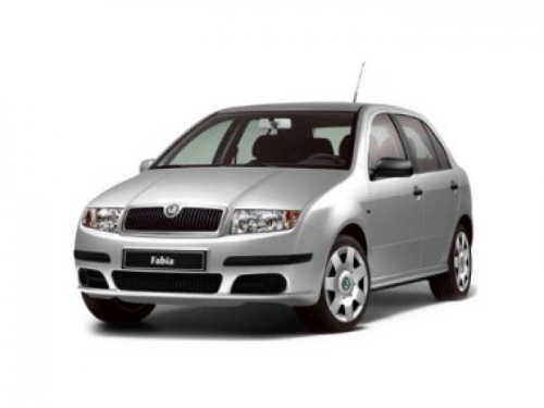 2D коврики EVA в салон  на Skoda Fabia I (1999-2007)