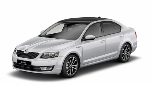 3D коврики EVA с бортами в салон  на Skoda Octavia III A7 (2013-2020)
