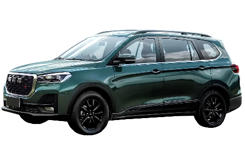 2D коврики EVA в салон и багажник  на SWM G05 Pro FWD 7 мест (2021-н.в.)