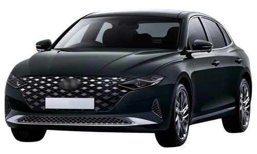 2D коврики EVA в салон и багажник  на Hyundai Grandeur VI рестайлинг (2019-2023)