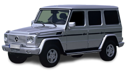 2D коврики EVA в салон  на Mercedes-Benz G W463 рест. 5-дверный (2006-2008)